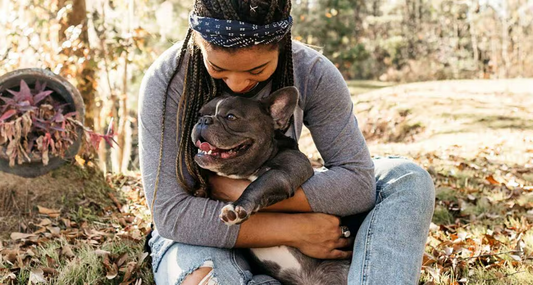 6 Heartwarming Thanksgiving Weekend Activities to Share with Your Dog