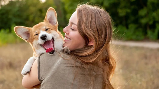 The Ultimate Guide to Pet Care: Must-Have Products for Every Pet Owner