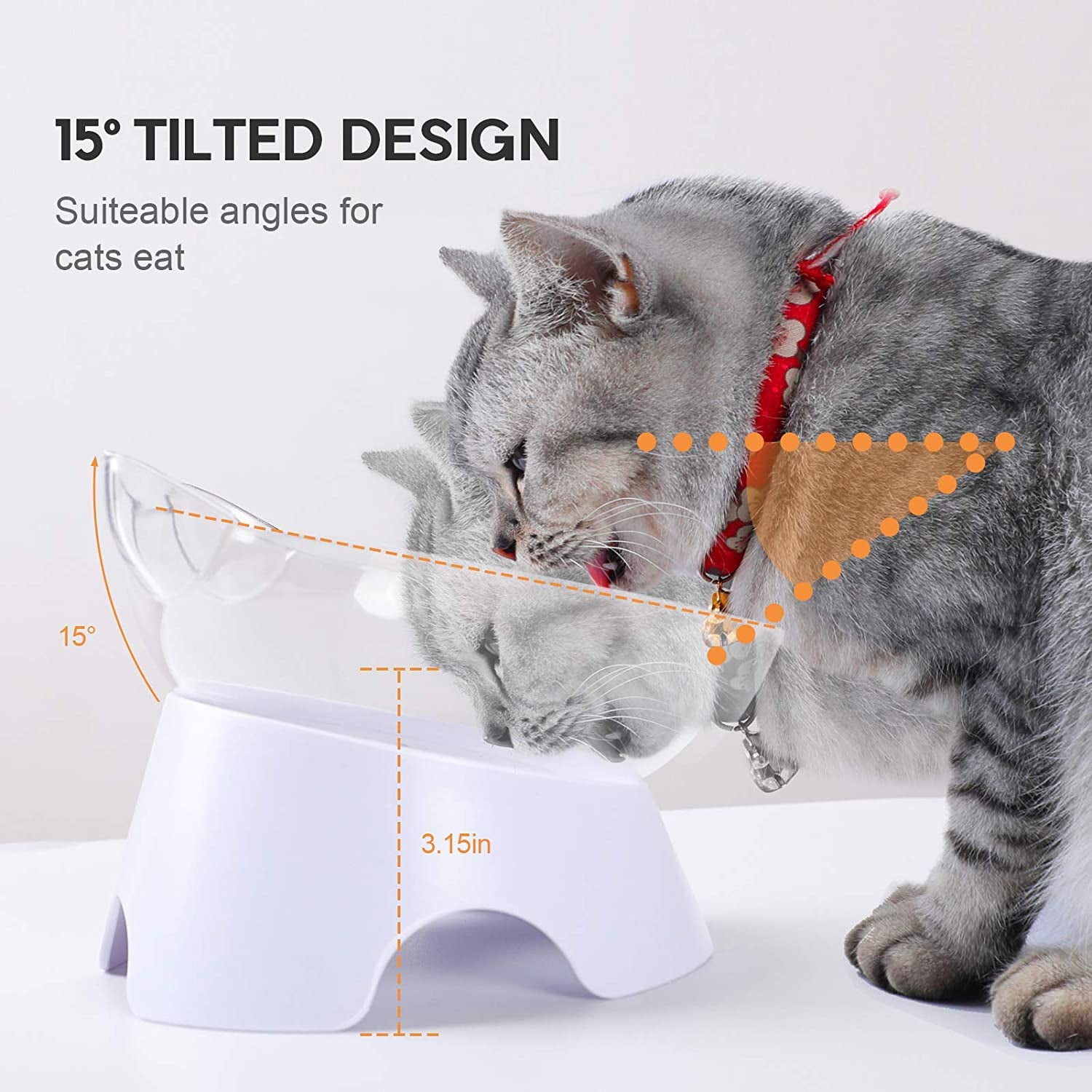 anti Spill Tilted Cat Food Bowls, Whisker Fatigue Elevated Bowls Set for Cat and Puppy, Cat Bowl Holds about 1 Cup of Pet Food